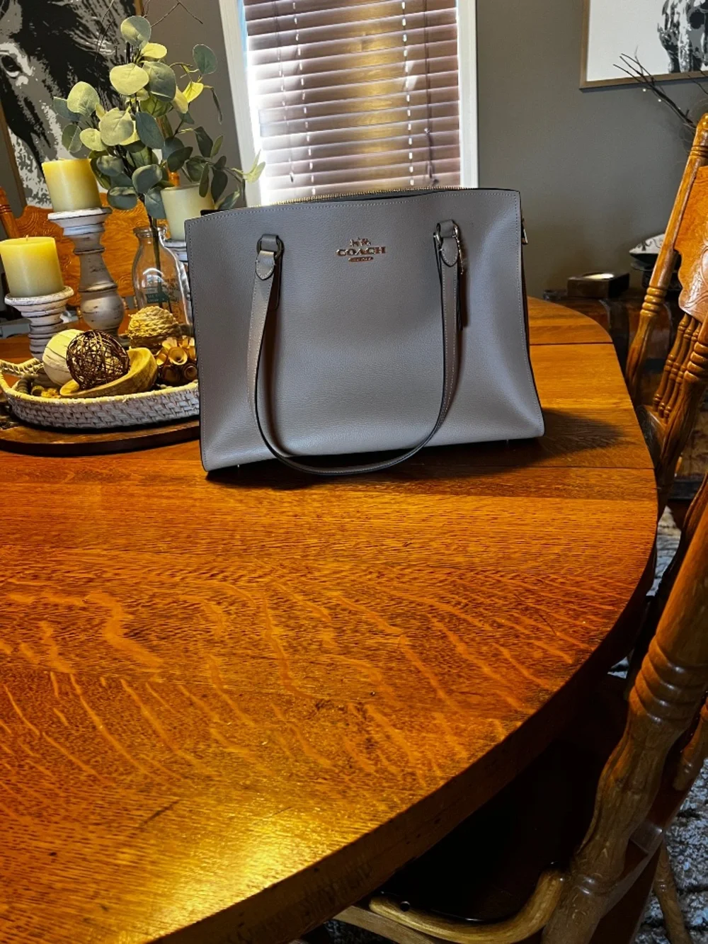 Coach Tote Bag